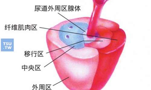 亚宝牛黄解毒片说明书网—知名的牛黄解毒片亚宝牌子怎么样网站,分享亚宝牛黄解毒片好吗知识