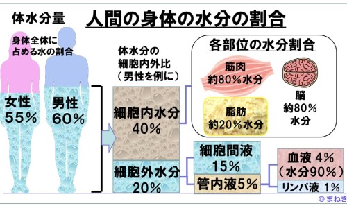 亚宝牛黄解毒片市场价格-亚宝牛黄解毒片说明书网—知名的牛黄解毒片亚宝牌子怎么样网站,分享亚宝牛黄解毒片好吗知识